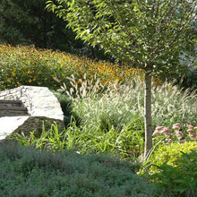 Landscape Architect