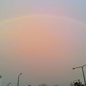 John Robbins's photo