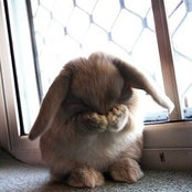 S SL's photo