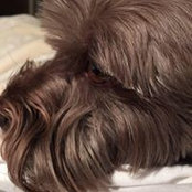 Kathy Gray's photo