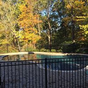 Cindy Beaver's photo
