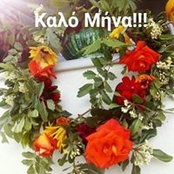 Avi Ms foto