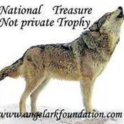Stacy Sliwinski's photo