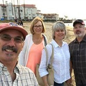 Susan Lewis's photo