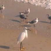 Judy Elder Wooley's photo