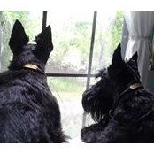 E Anne Dunn's photo