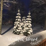 Mary Rogers's photo