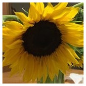 Kimberlee Anderson's photo