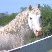 Martha Royers foto
