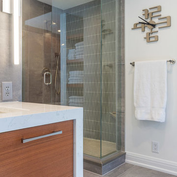 Dated Master Bath Gets a Contemporary Face-lift