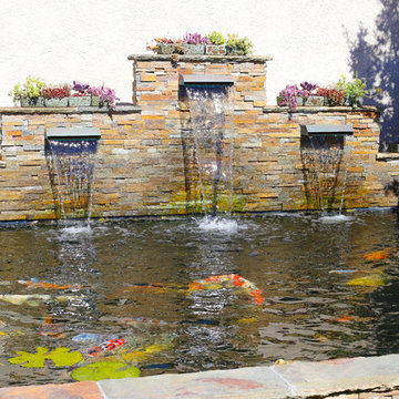 Beach St. Fish Pond