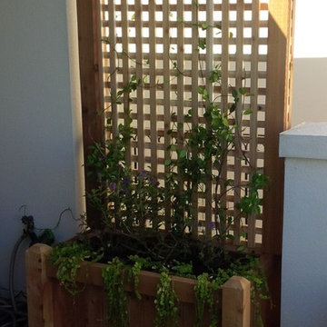 Custom Cedar Planters