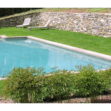 Custom Backyard Pool Portfolio