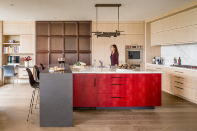 Example of a trendy kitchen design in DC Metro
