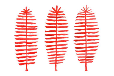 Red Ferns Watercolor
