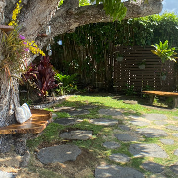 100 Year Old Tree Bench