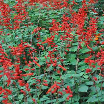 Costa Rica Travel
