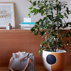Midnight Pot | Pop & Scott - Indoor Pots And Planters
