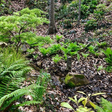 March 2019 in the fern glen