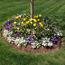 flower beds
