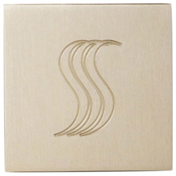 SteamVection Steam Head Square, Polished Nickel