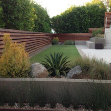 Backyard Landscape