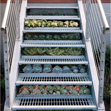 Planters
