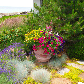 Container Gardens