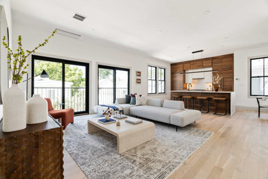 Living room - traditional living room idea in Boston