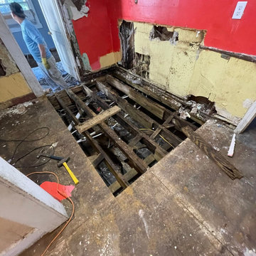 Termite Damage Is at it Again