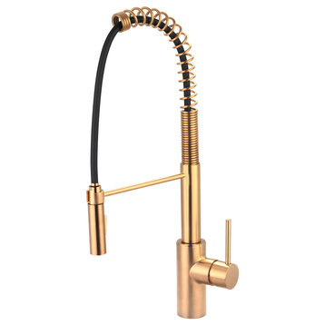 Motegi Single Handle Pull-Down Pre-Rinse Kitchen Faucet, Brushed Gold