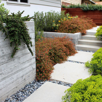 Contemporary Drought-Tolerant in Aptos