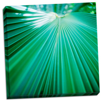 Fine Art Photograph, Palm Frond IV, Hand-Stretched Canvas