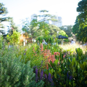 Harmony - Melbourne International Flower and Garden Show 2018