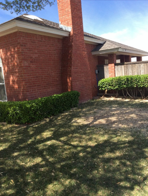 What color should I paint my house?