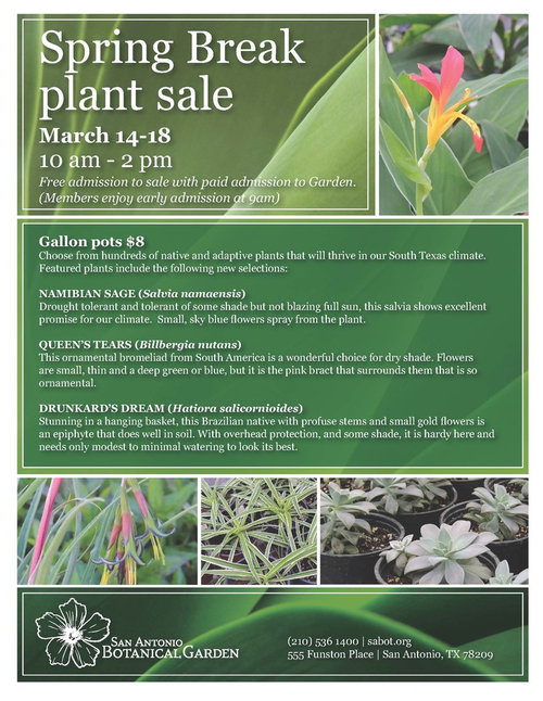 San Antonio Botanical Gardens Spring Break Plant Sale 3 14 To 3 18 16