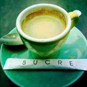 Julie Shaub's photo
