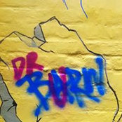 Olly Burn's photo