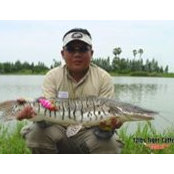 Melvin Soh's photo