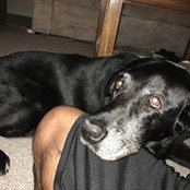 Emily Rixon's photo