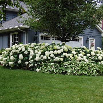 Cottage Charm