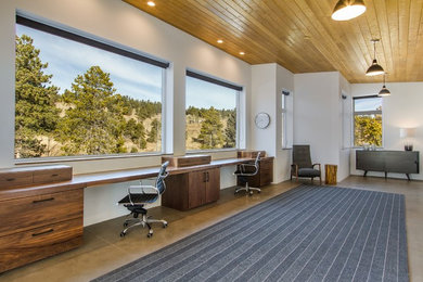 This is an example of a modern home office in Denver.