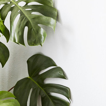 Houzz Tours Katrine Ibsgaard