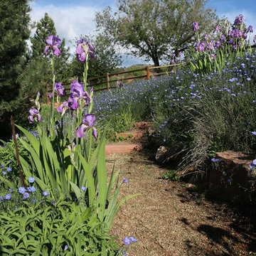 Erley in Bloom