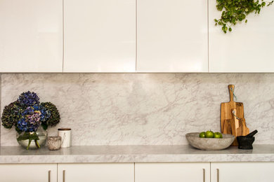 Example of a minimalist kitchen design in Kansas City
