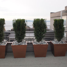 Roof Deck
