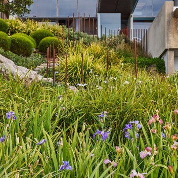 Finalist - 2022 Residential Landscape Design of the Year - Pepo Botanic Design