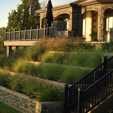 Garden Beds