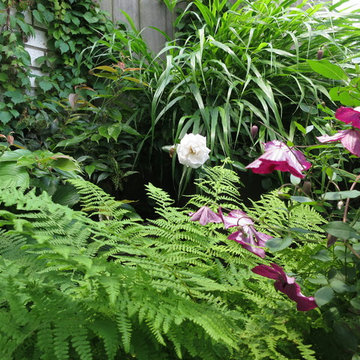 Madison Avenue Terrace Garden