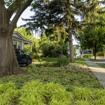 Shade Gardens